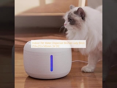 Διανεμητής νερού για κατοικίδια ζώα εσωτερικού χώρου Bronze Lady Resin 213×213×145mm 5V DC