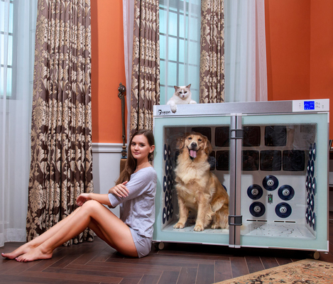 ξηρότερο κλουβί 6 220V 2500W Pet ανεμιστήρες χαμηλού θορύβου για τον καλλωπισμό σκυλιών
